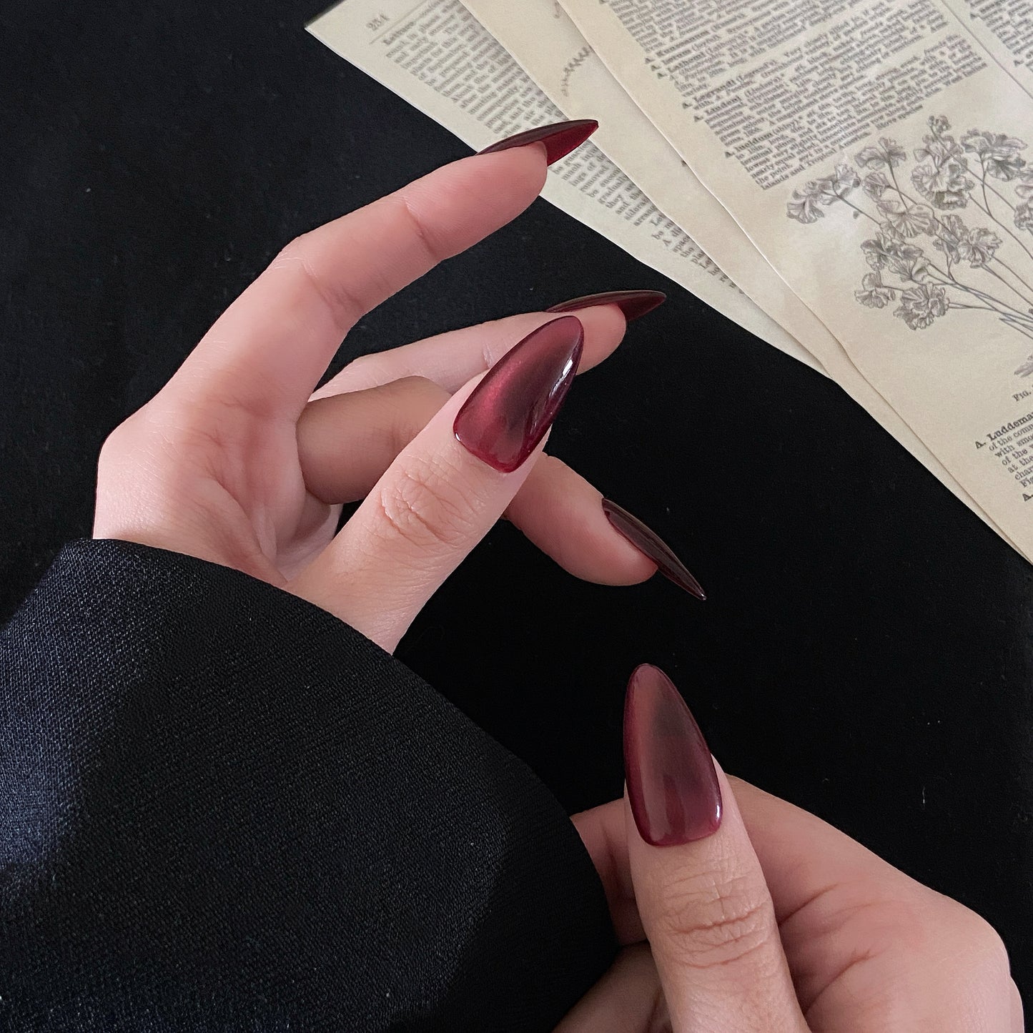 Merlot
