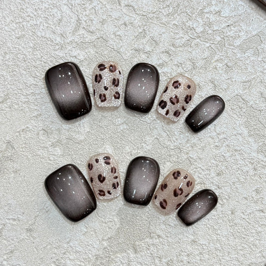 Nori Safari