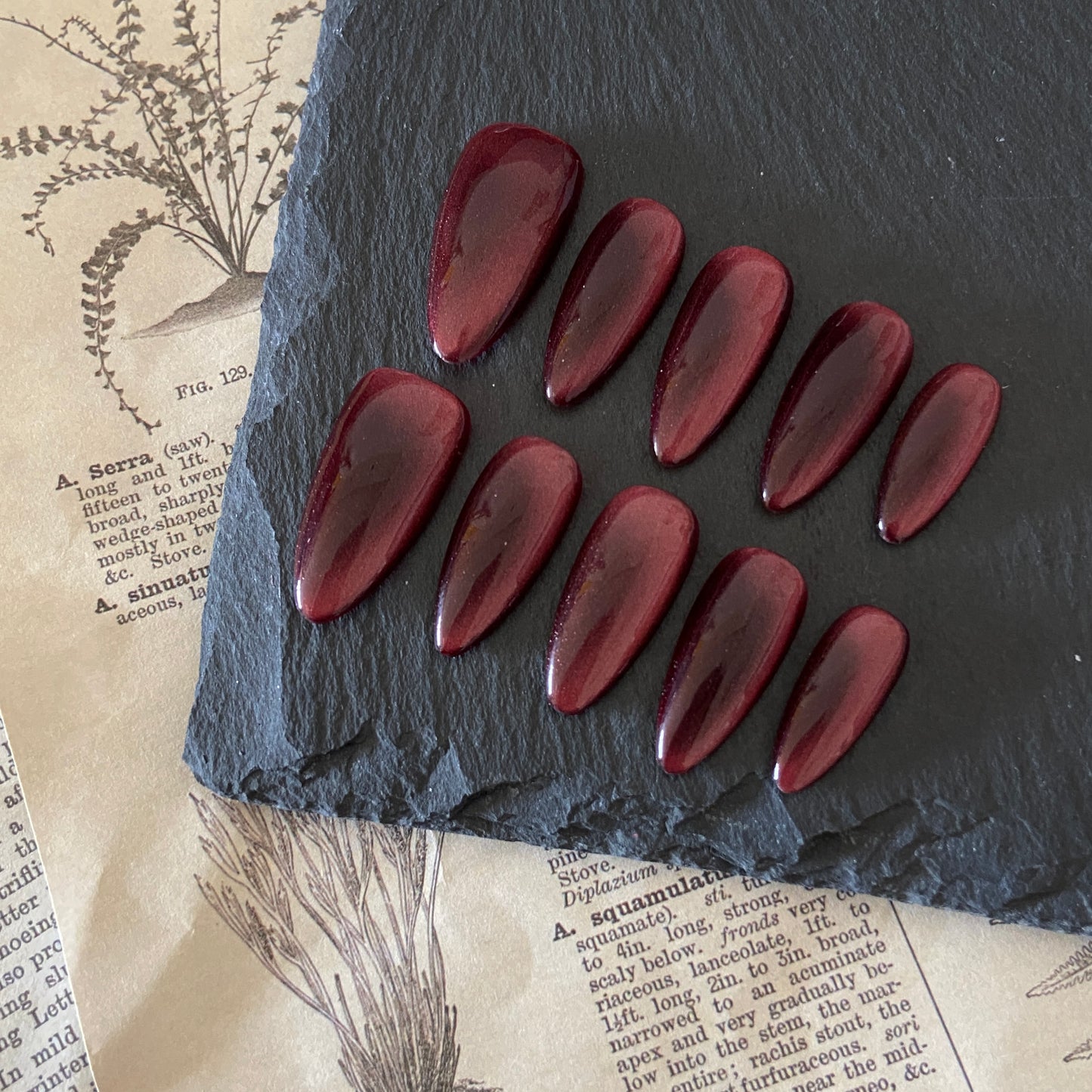 Merlot